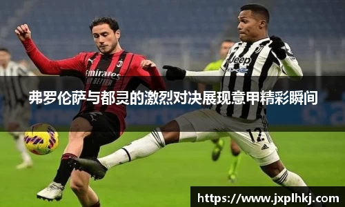 中欧体育